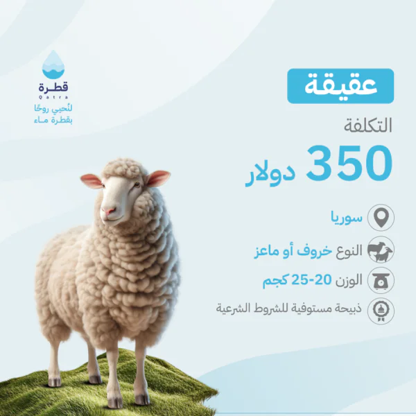 العقيقة